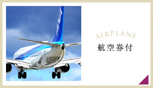 JAL/ANA　航空券付